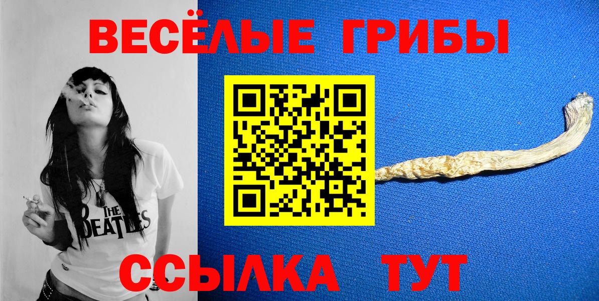 Мелеуз  Псилоцибиновые грибы MAGIC MUSHROOMS  Вход с VPN 