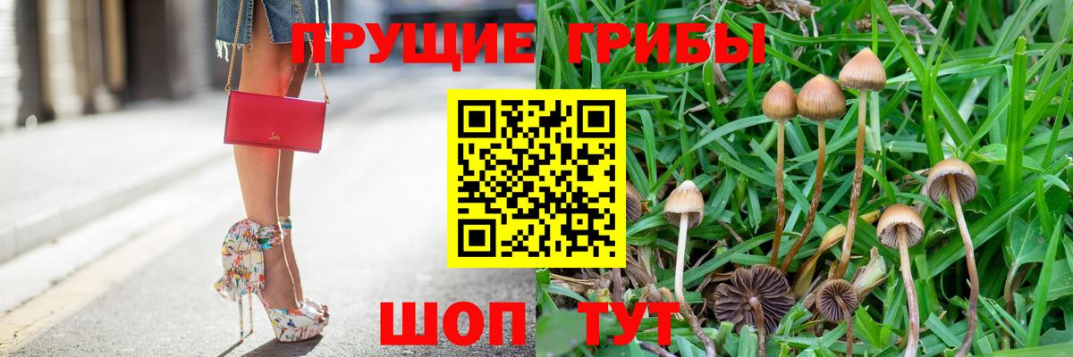 Псилоцибиновые грибы Magic Shrooms Мелеуз
